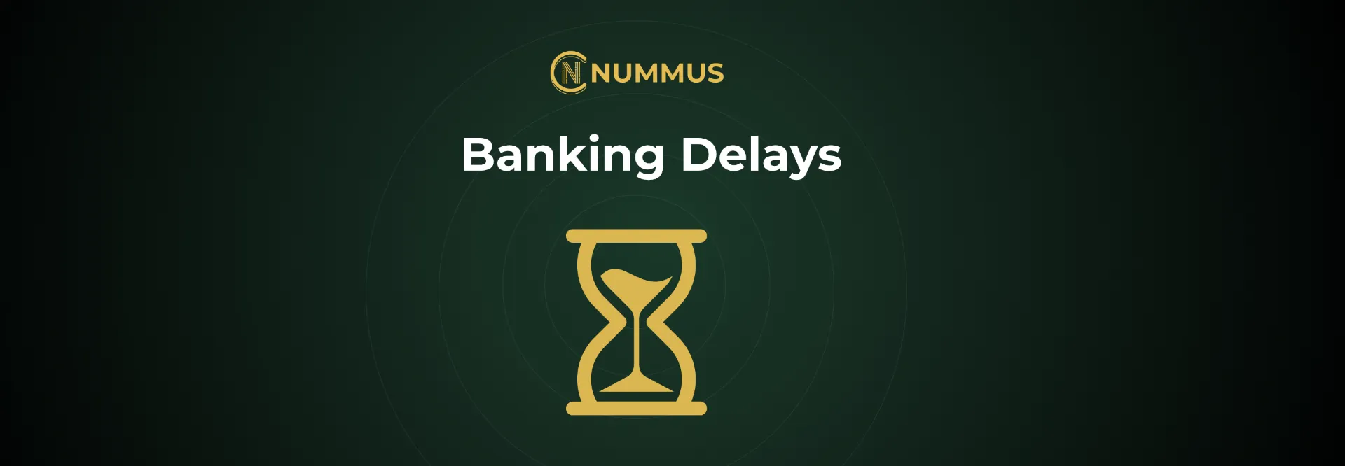 Banking Delays