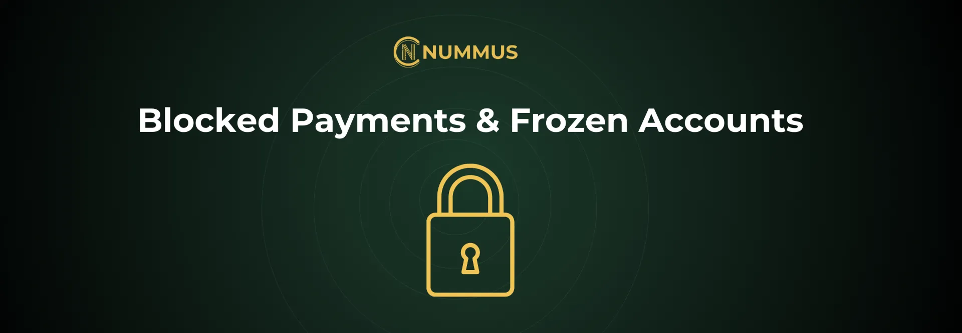 Blocked Payments & Frozen Accounts